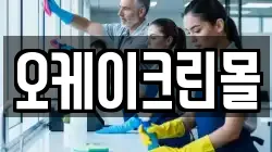 경기도 고양시 일산서구 가좌동 청소,입주청소,사무실청소,에어컨청소,특수청소,상가청소,거주청소,유품정리