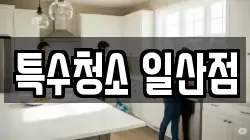 특수청소 일산점