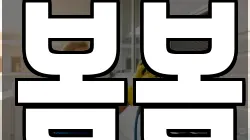 봄봄