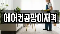 에어컨곰팡이저격