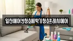 일산에어컨청소세탁기청소프레시에어