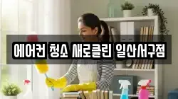 에어컨 청소 새로클린 일산서구점