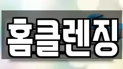 홈클렌징