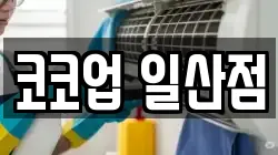 경기도 고양시 일산서구 청소,입주청소,사무실청소,에어컨청소,특수청소,상가청소,거주청소,유품정리