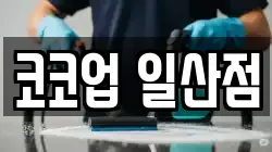 경기도 고양시 일산서구 탄현동 청소,입주청소,사무실청소,에어컨청소,특수청소,상가청소,거주청소,유품정리