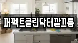 퍼펙트클린닥터깔끄룸
