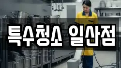 특수청소 일산점