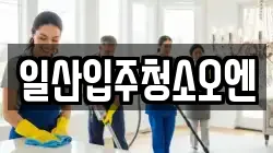 일산입주청소오엔