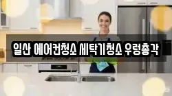 일산 에어컨청소 세탁기청소 우렁총각