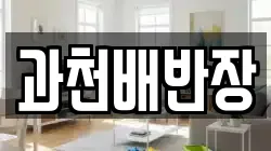 과천배반장