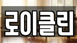 로이클린