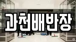 과천배반장
