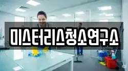 미스터리스청소연구소