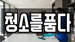 청소를품다