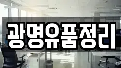 광명유품정리