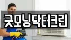 굿모닝닥터크린