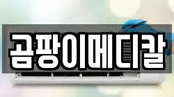 곰팡이메디칼