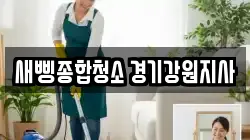 새삥종합청소 경기강원지사