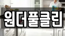 원더풀클린