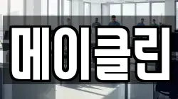 메이클린