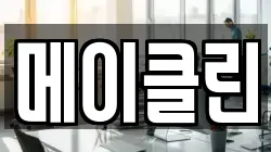 메이클린