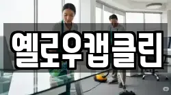 옐로우캡클린