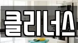 클리너스