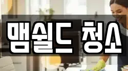 맴쉴드 청소