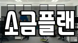 소금플랜