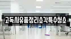 고독사유품정리소각특수청소