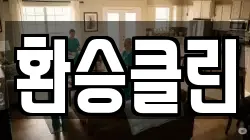 환승클린