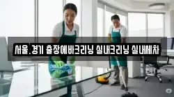 서울.경기 출장에바크리닝 실내크리닝 실내세차