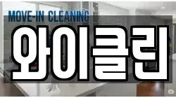 와이클린