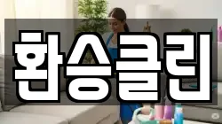 환승클린