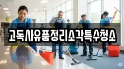경기도 남양주시 이패동 청소,입주청소,사무실청소,에어컨청소,특수청소,상가청소,거주청소,유품정리