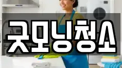 굿모닝청소