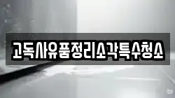 고독사유품정리소각특수청소