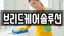 브리드케어솔루션