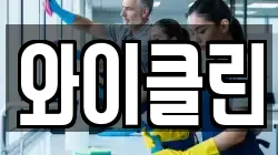 와이클린