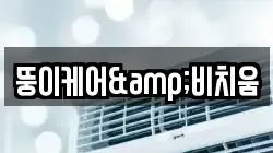 뚱이케어&비치움