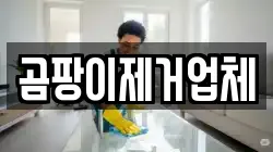 곰팡이제거업체