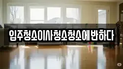 입주청소이사청소청소에반하다