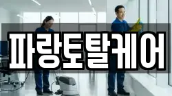 경기도 부천시 오정구 내동 청소,입주청소,사무실청소,에어컨청소,특수청소,상가청소,거주청소,유품정리