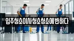 입주청소이사청소청소에반하다