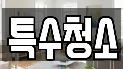 특수청소