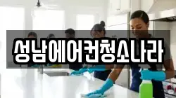 경기도 성남시 분당구 정자동 청소,입주청소,사무실청소,에어컨청소,특수청소,상가청소,거주청소,유품정리
