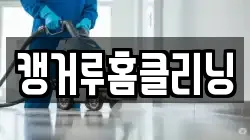 캥거루홈클리닝