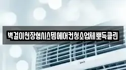 경기도 성남시 분당구 판교동 청소,입주청소,사무실청소,에어컨청소,특수청소,상가청소,거주청소,유품정리