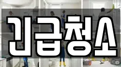 긴급청소