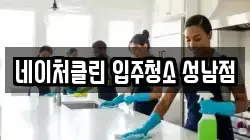 네이처클린 입주청소 성남점